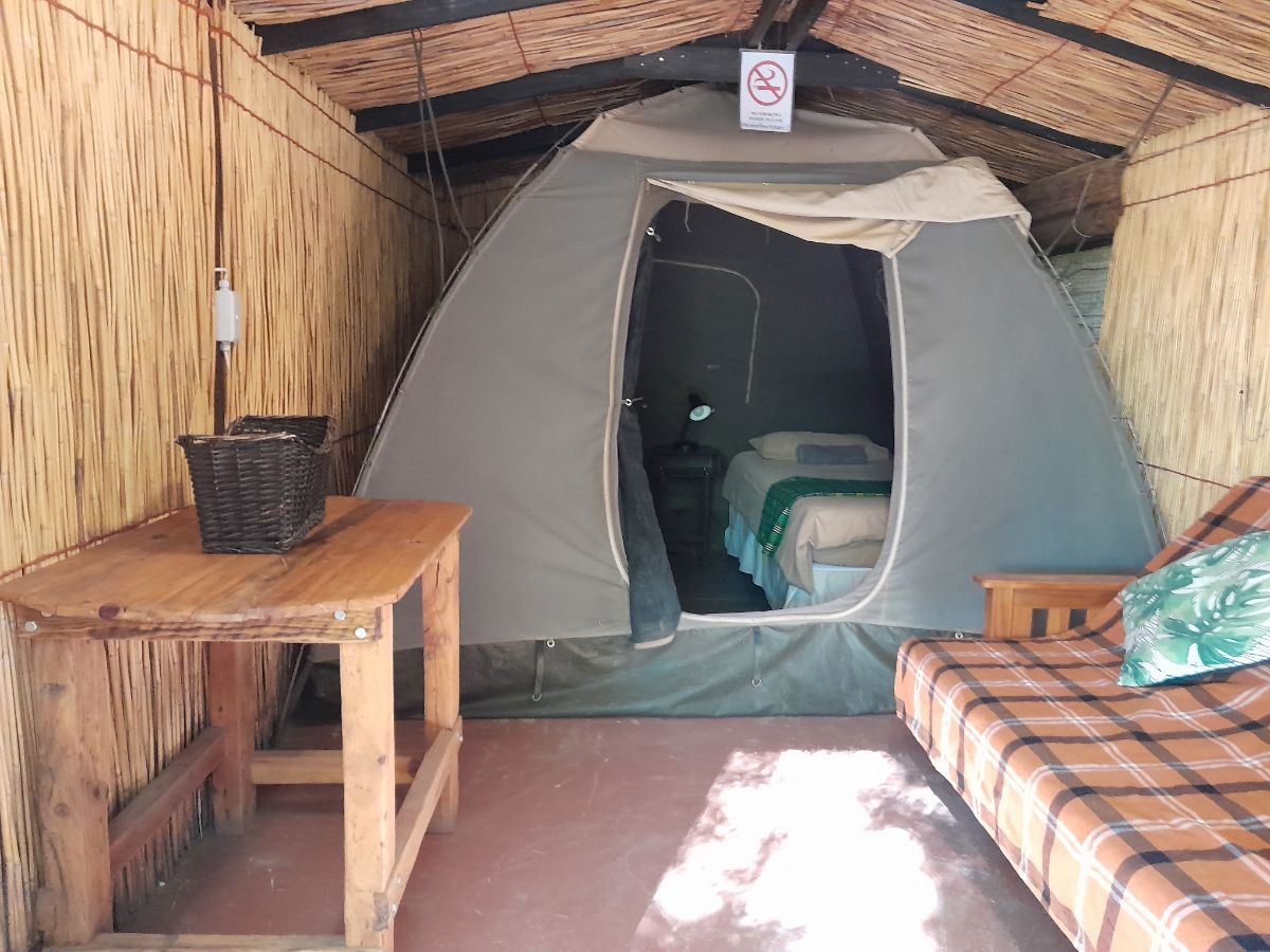 Glamp 6 2